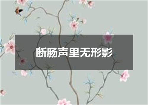 断肠声里无形影