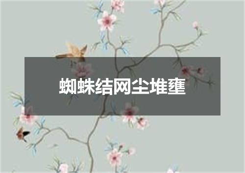 蜘蛛结网尘堆壅