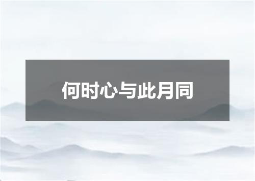 何时心与此月同