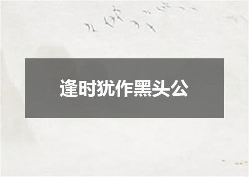 逢时犹作黑头公