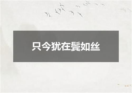 只今犹在鬓如丝