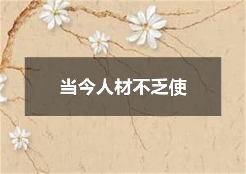 当今人材不乏使