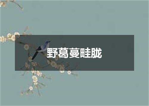 野葛蔓畦胧