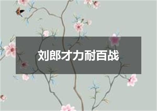 刘郎才力耐百战