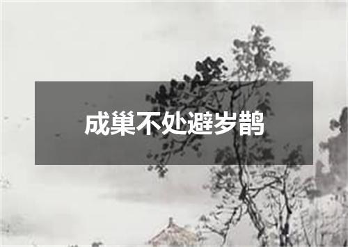 成巢不处避岁鹊