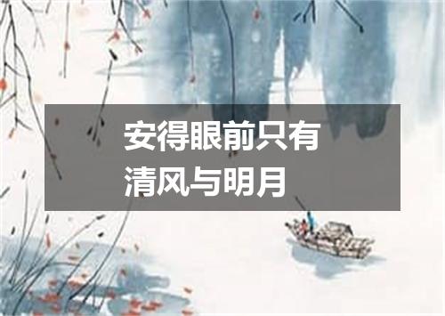 安得眼前只有清风与明月