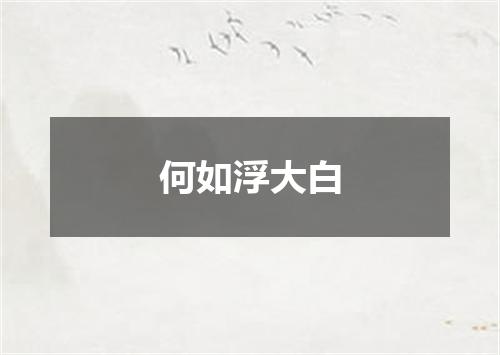 何如浮大白