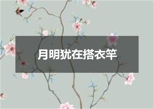 月明犹在搭衣竿