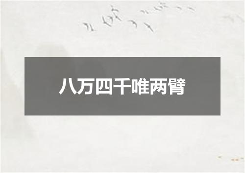 八万四千唯两臂