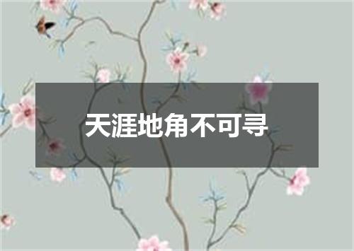 天涯地角不可寻