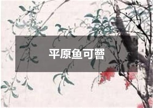 平原鱼可罾