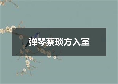 弹琴蔡琰方入室