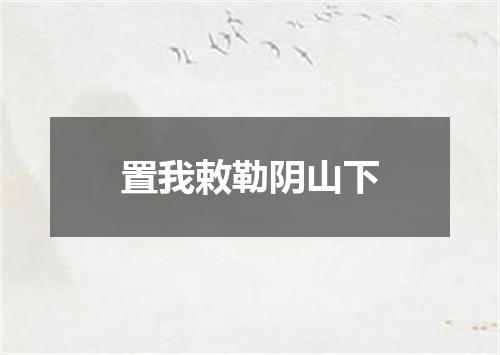 置我敕勒阴山下