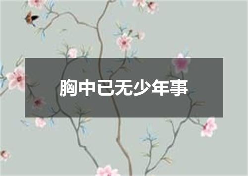 胸中已无少年事