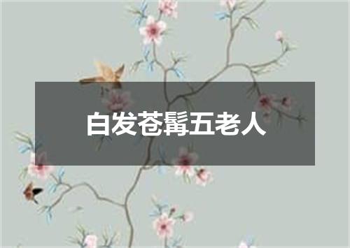 白发苍髯五老人