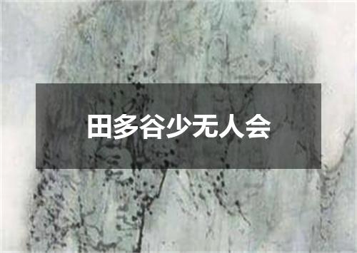 田多谷少无人会
