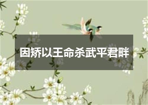 因矫以王命杀武平君畔