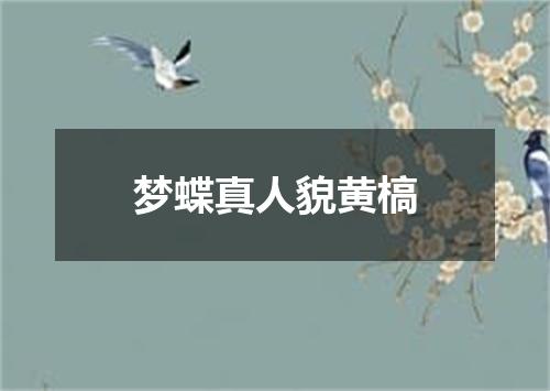 梦蝶真人貌黄槁
