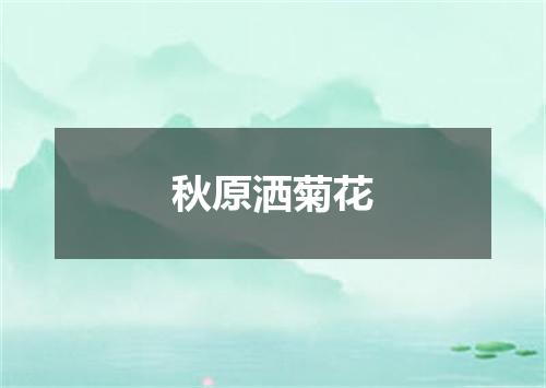 秋原洒菊花