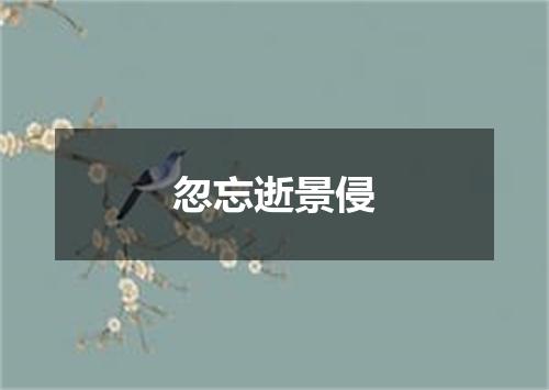 忽忘逝景侵