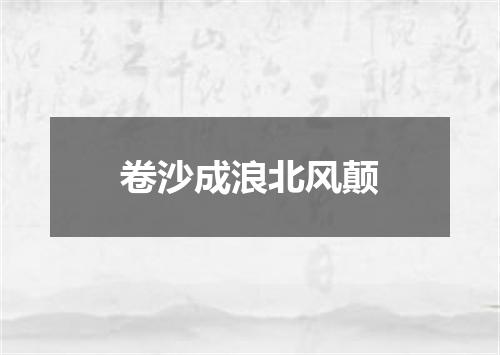 卷沙成浪北风颠