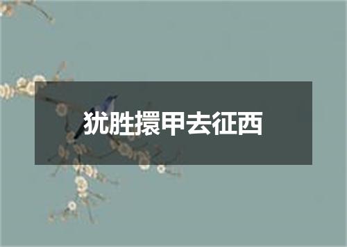犹胜擐甲去征西