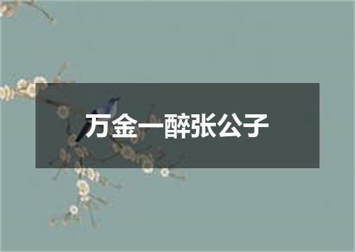 万金一醉张公子