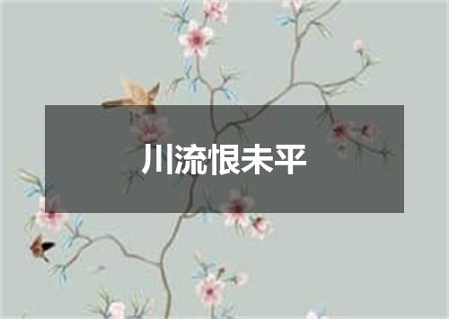 川流恨未平