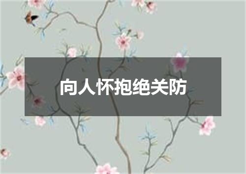 向人怀抱绝关防