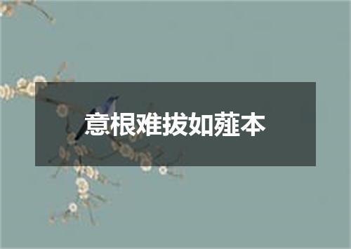 意根难拔如薤本