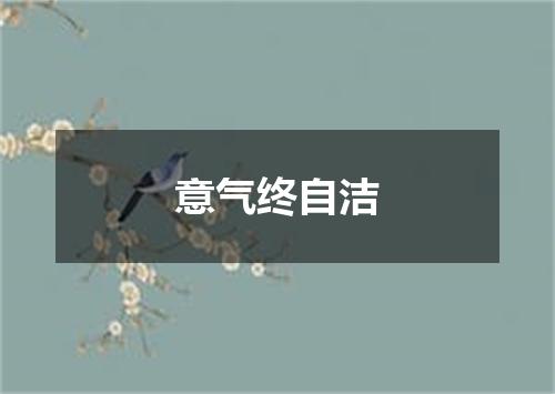 意气终自洁