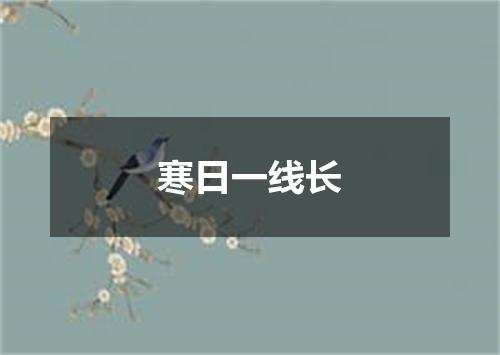 寒日一线长