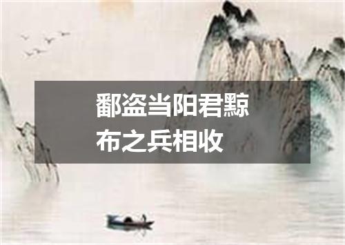 鄱盗当阳君黥布之兵相收