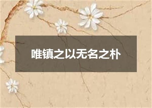 唯镇之以无名之朴