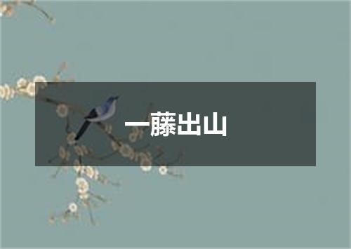 一藤出山