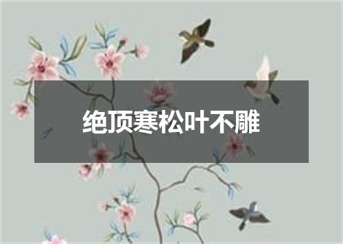 绝顶寒松叶不雕