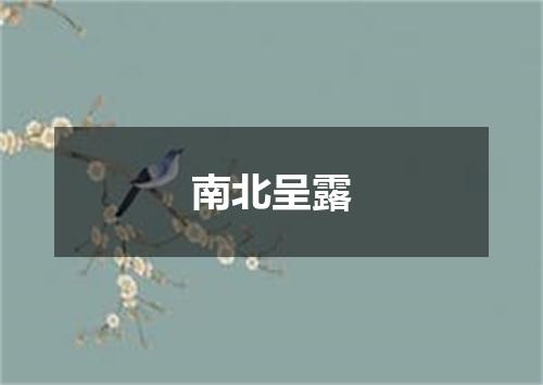 南北呈露