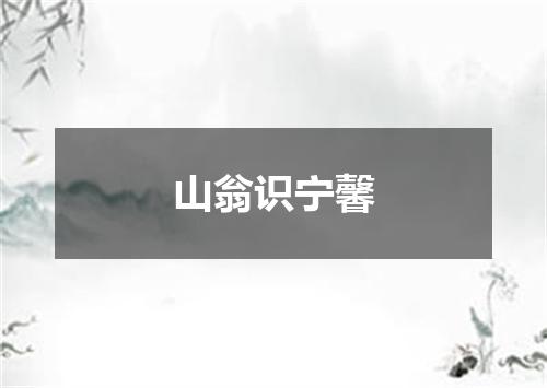 山翁识宁馨