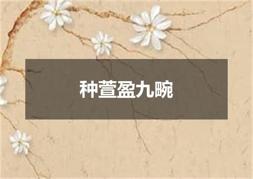 种萱盈九畹