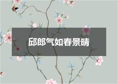 邱郎气如春景晴