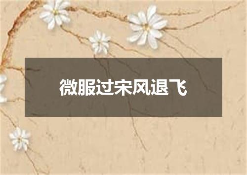 微服过宋风退飞