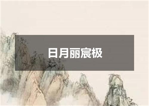 日月丽宸极