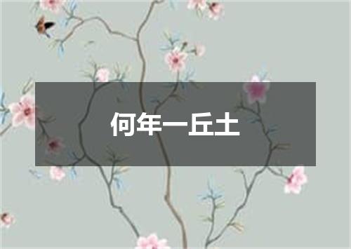 何年一丘土