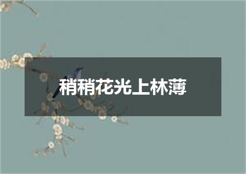 稍稍花光上林薄