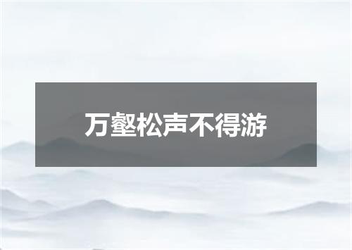 万壑松声不得游