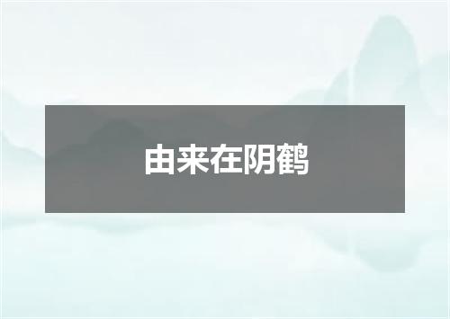 由来在阴鹤