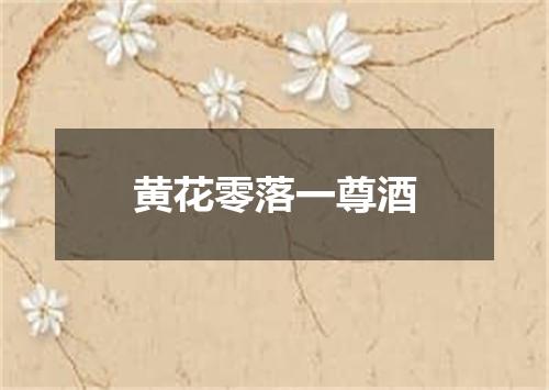黄花零落一尊酒