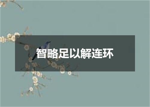 智略足以解连环