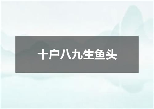 十户八九生鱼头