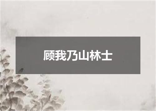 顾我乃山林士